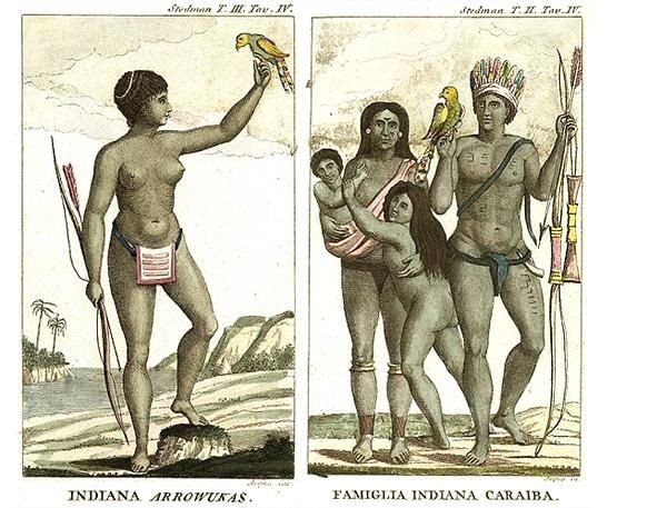 Deux gravures coloriées côte à côte : à gauche une femme arawak tenant un perroquet, un arc à la main ; à droite une famille kalina avec coiffe de plumes, arcs et flèches.